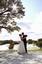 Denise Mack Photography