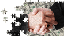 Tech Equipment Finance, Inc.