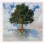 Almost Heaven Landscape Design