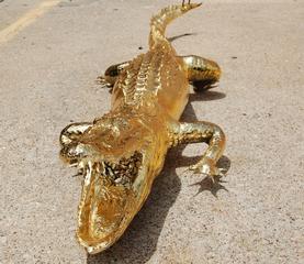 Elite Pating & Coatings - Dallas, TX