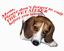 The Pet Sitter