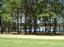 Provided by Nobles Brush Cutting, Bay Minette 