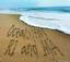 Lisa Glowacki - Real Estate Broker