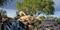 Fountain Hills Leads Association Group