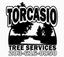 TORCASIO TREE SERVICES