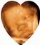 Stork Vision  Prenatal Imaging Center