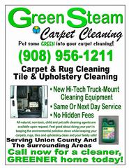 Green Steam Carpet Cleaning - Scotch Plains, NJ