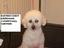 Provided by Animal Central, Elbridge 