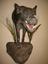 Provided by Harriger's Custom Taxidermy, Lubbock 