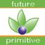 Future Primitive Graphic & Web Design