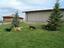 Happy Tails Lodge