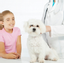 Provided by Emergency Pet Hospital, Orlando 