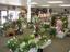 Flowerama of America