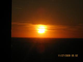 Picture 083.jpg provided by Davis Pest Control Taneyville 65759 
