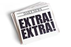 Cape Cod Pet Sitters and Dog Walkers