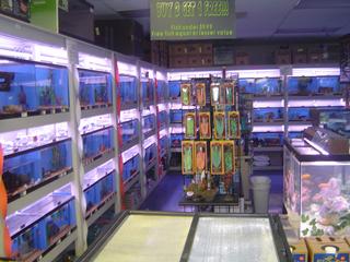 pets plus londonderry nh 03053 603 425 2738 all pets plus londonderry nh 03053 603 425 2738 all