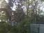 Provided by LaFountain Tree Specialists, Oakland 