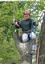 LaFountain Tree Specialists