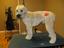 Posh Pet Spa, LLC