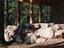 Andersons Excavation Inc