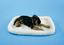 sims pet supplies