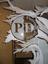 Platinum Dental, Inc.
