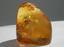 AMBER KINGDOM JEWELRY