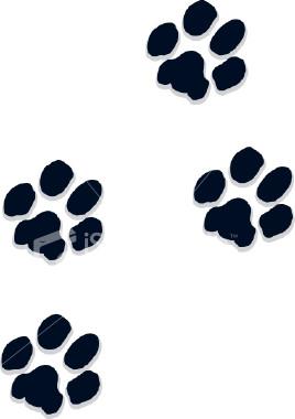 pug due date calculator paw prints from pered pugs in fall river ma 02722 breeders pug due date calculator paw prints from pered pugs in fall river ma 02722 breeders