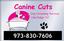 Canine Cuts