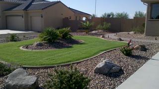 Arizona Backyard Landscape Ideas