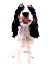Provided by Pampered Paws-N-Claws, Claridge 