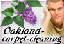 image for the product advertised