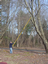 American Tree Service Supply