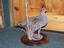 Provided by Willow Grove Taxidermy, Ennis 