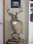 Willow Grove Taxidermy