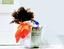 Quality Cleaning Services