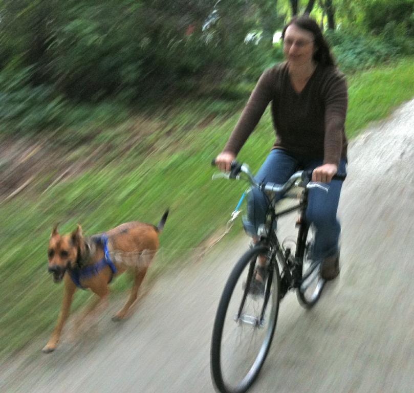 IMG_0188 by Collected Wisdom An...