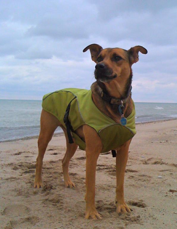 IMG_0339 by Collected Wisdom An...