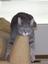 Gloria's Pet Photography