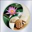 LOTUS Healing Arts Center