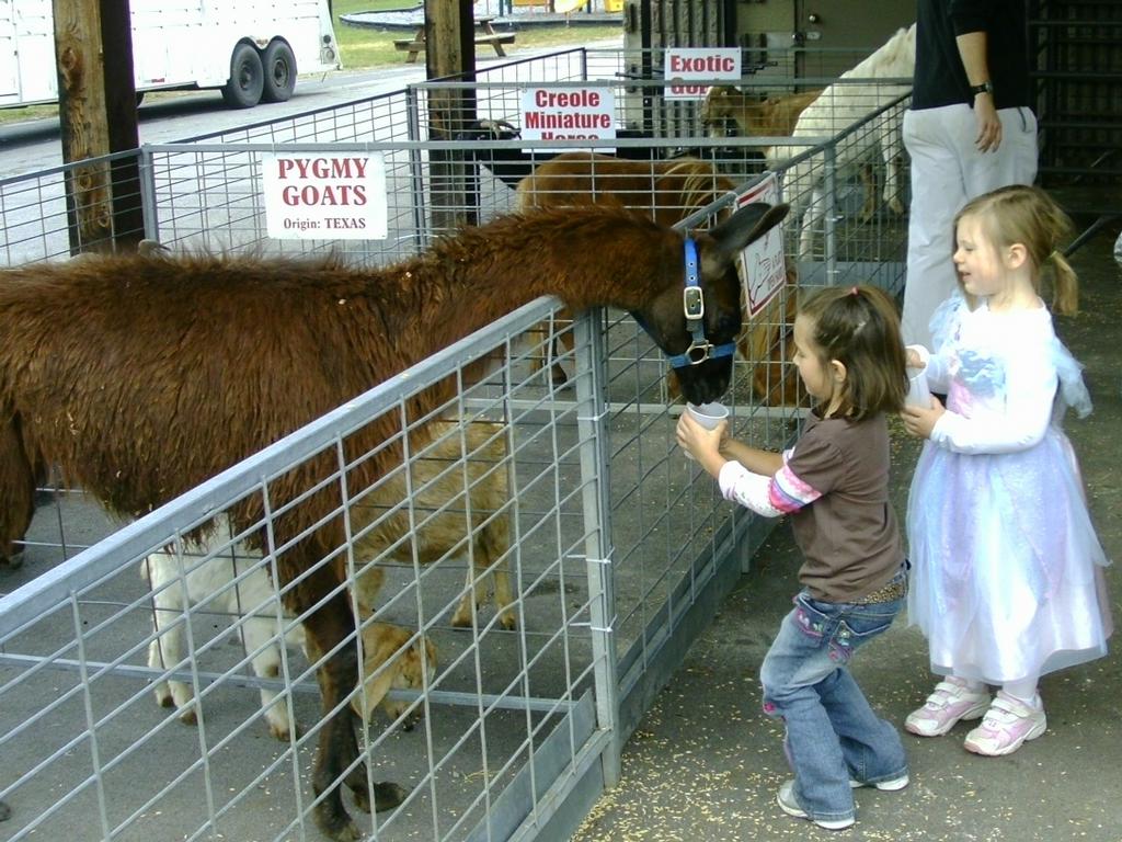 AnimalFest Petting Zoo & Pony Rides. Tucson AZ 85713 2604027167