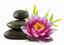 Tampabay Massage Therapy