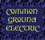 Provided by Common Ground Electric, Schenevus 