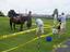 Provided by Eusden's Pony Rides, Colora 