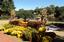 Provided by Tour Natchitoches with Barbara, Natchez 