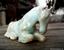 Provided by Missa's Equine Design, Roseville 
