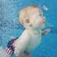 Ocean City Aquatics