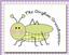 The Gingham Grasshopper