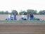 Provided by Ogden'S Dirt Drags, Friendship 