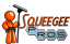 Squeegee Pros Window Cleaning and Glass Restoration